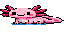 Ollie the axolotl